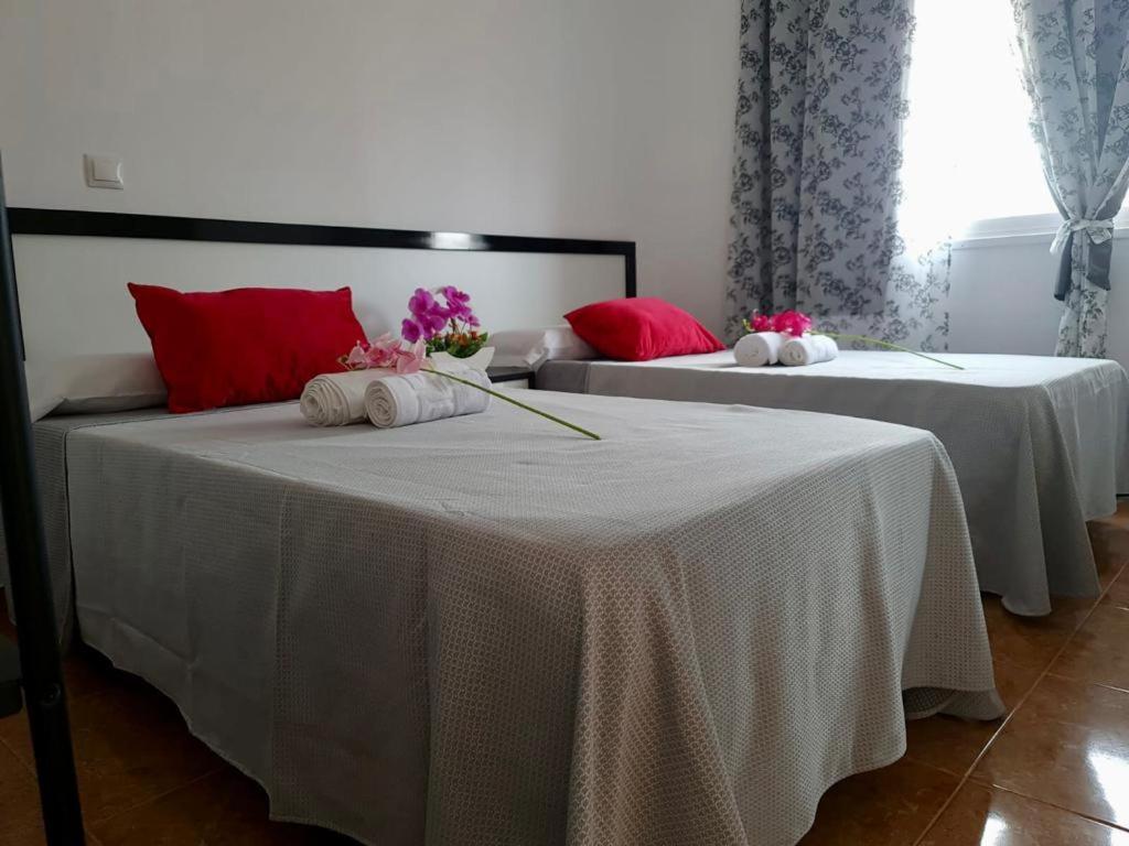 Franmay Apartments - 7 Modern Apartments Near The Beach & City, Perfect For Nomads, Travellers, Families, Watersports! 산타 마리아 외부 사진