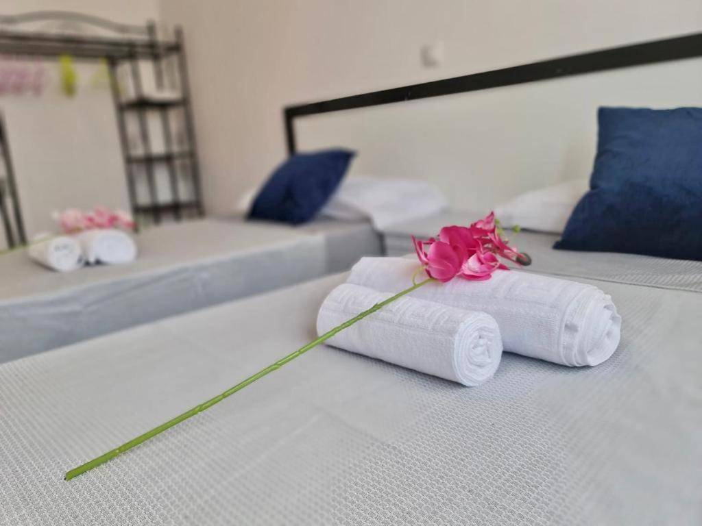Franmay Apartments - 7 Modern Apartments Near The Beach & City, Perfect For Nomads, Travellers, Families, Watersports! 산타 마리아 외부 사진