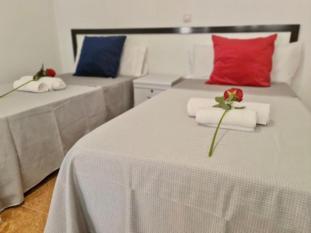 Franmay Apartments - 7 Modern Apartments Near The Beach & City, Perfect For Nomads, Travellers, Families, Watersports! 산타 마리아 외부 사진